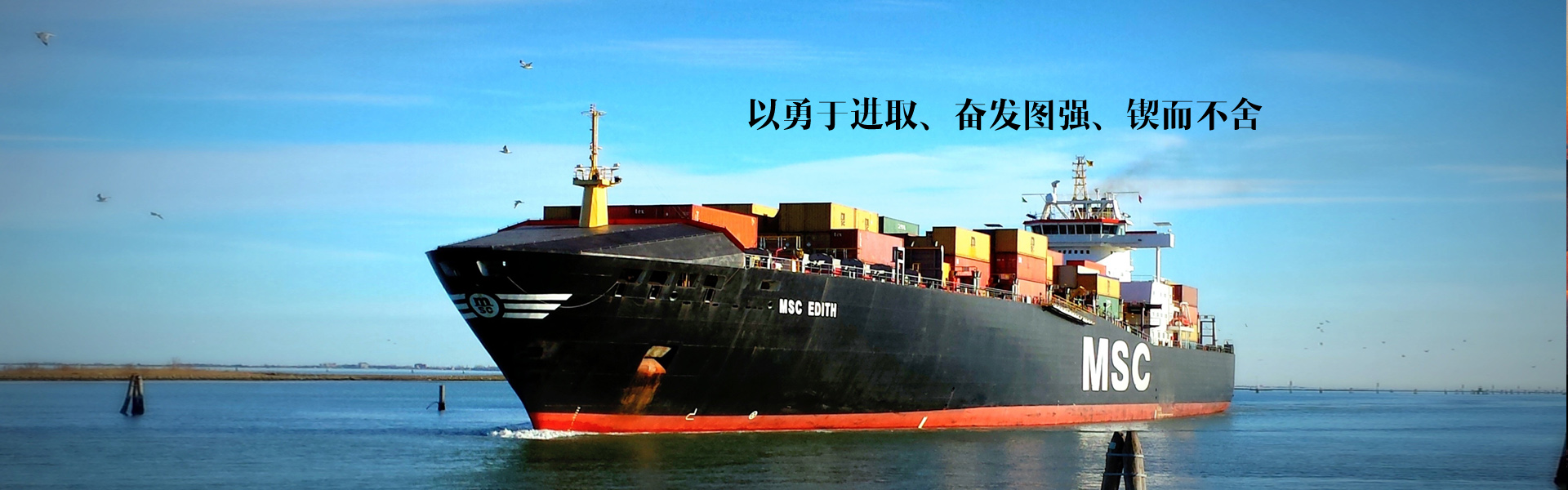 研究軟體海綿高效增硬劑在聚酯型軟泡體系中的配伍性能及防黃變特性的表現